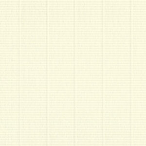 Handwritten Envelope Service